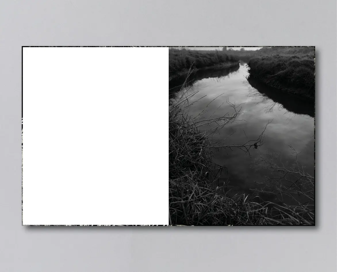 Reverie image 6