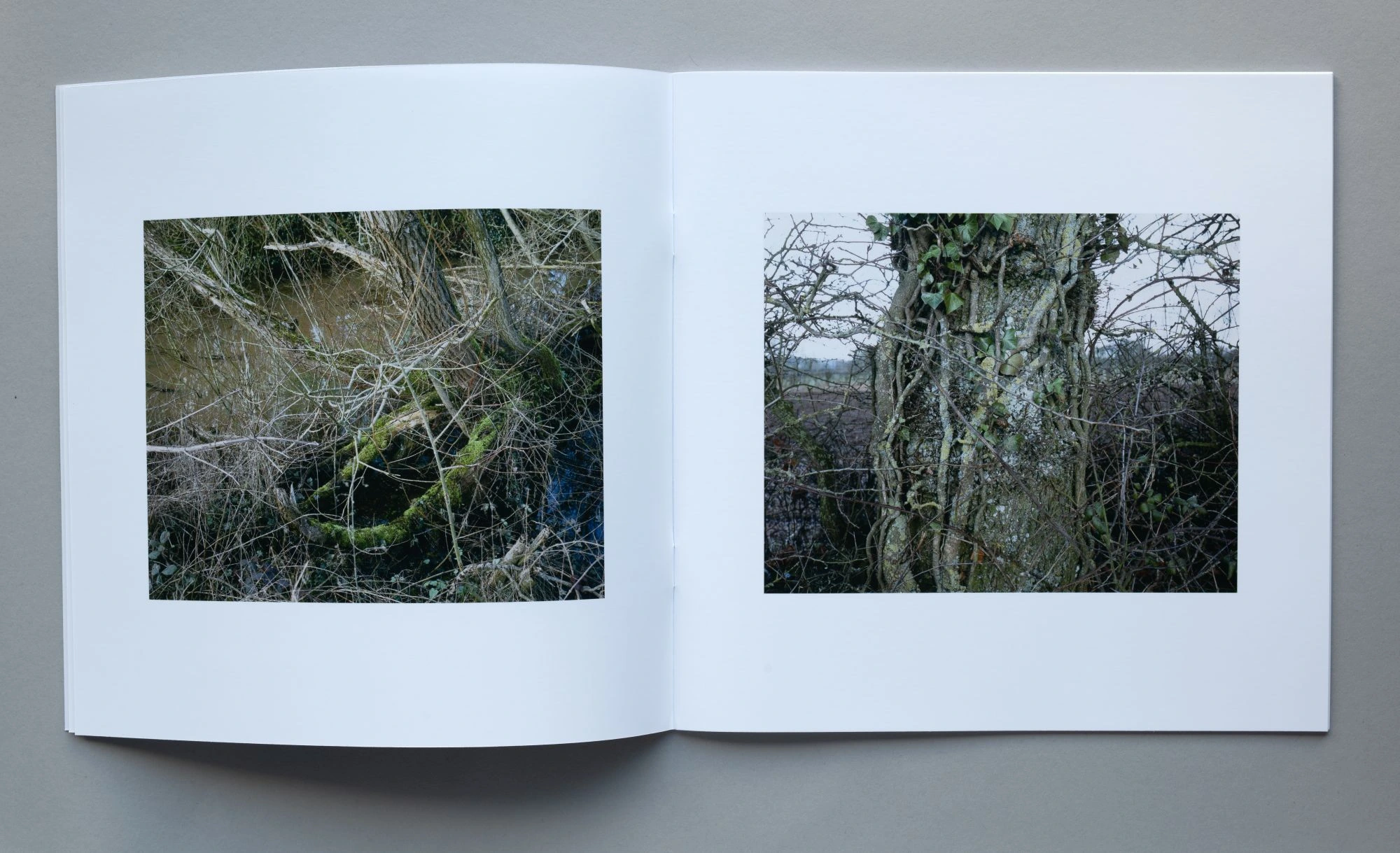 Bristol Boundary 1 image 3