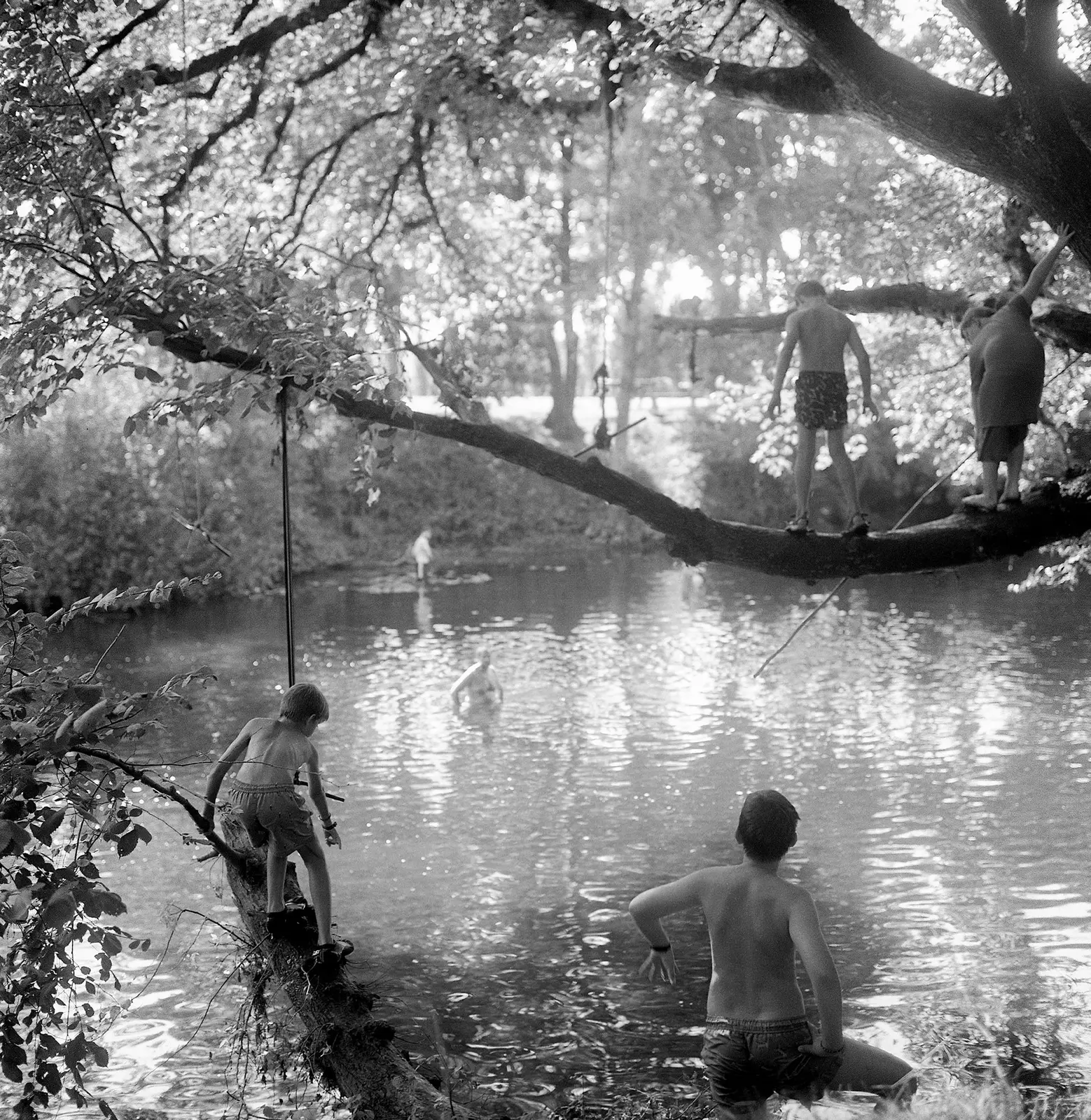 Riverland image 2