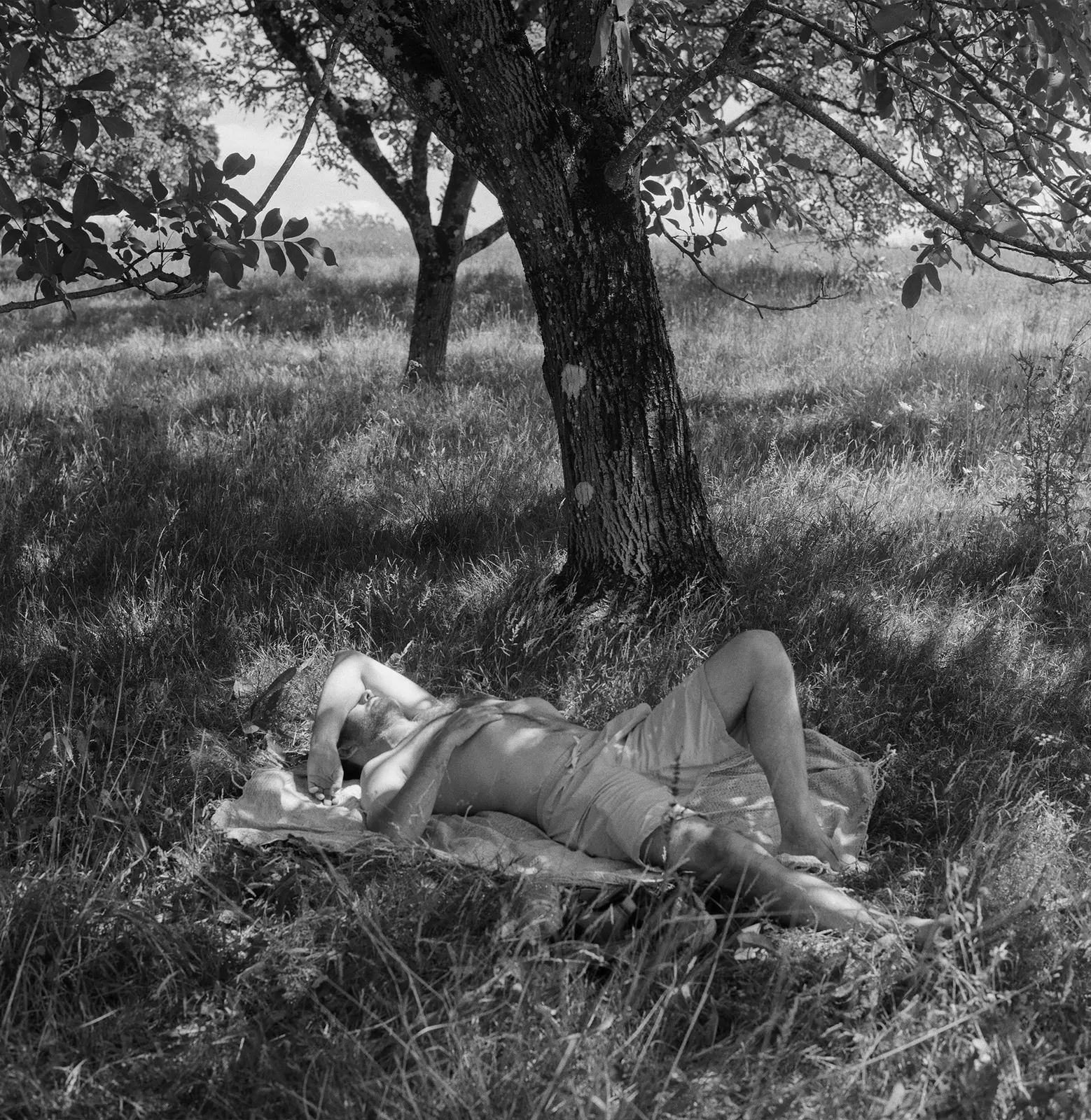 Riverland image 6