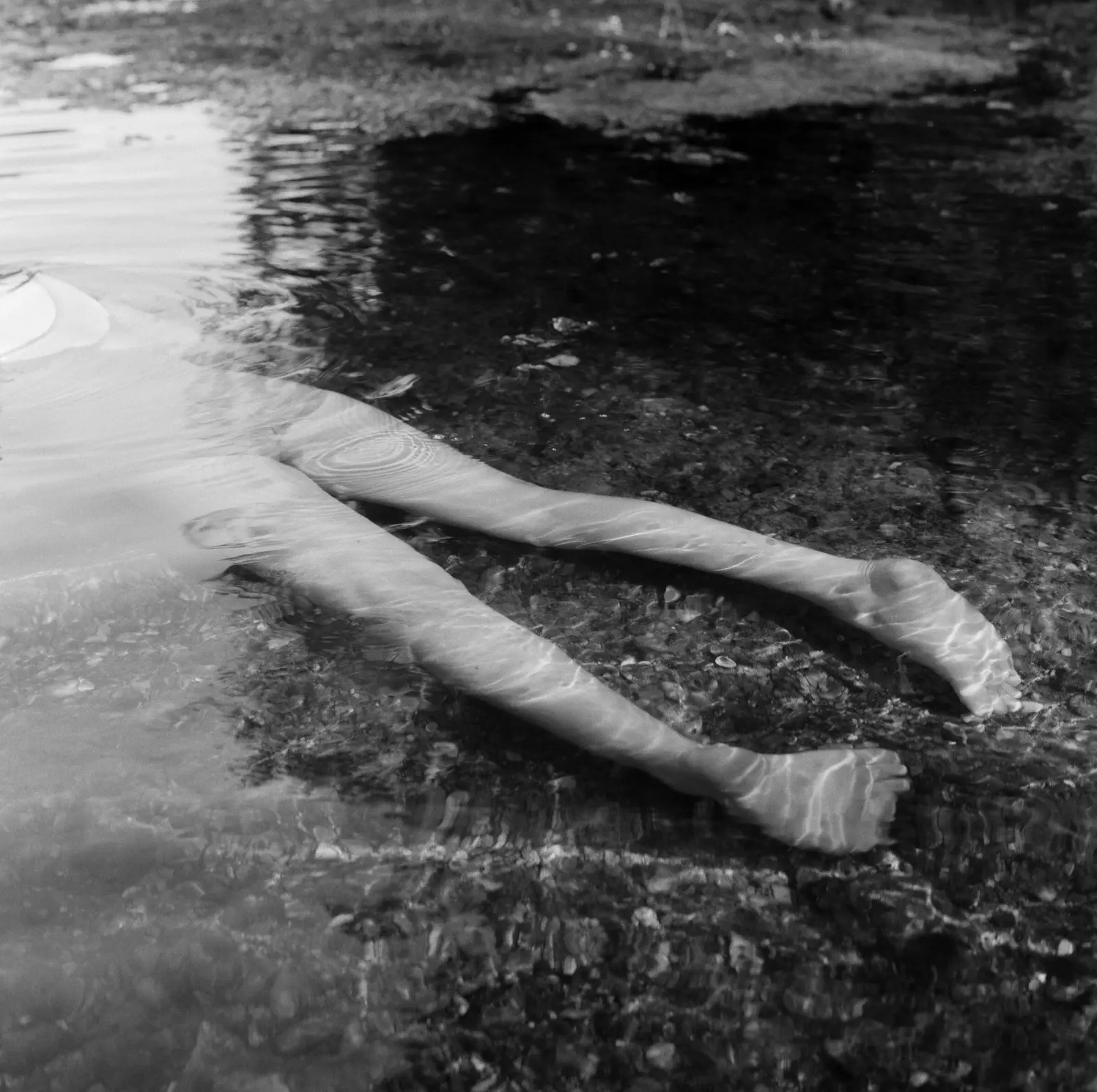 Riverland image 8