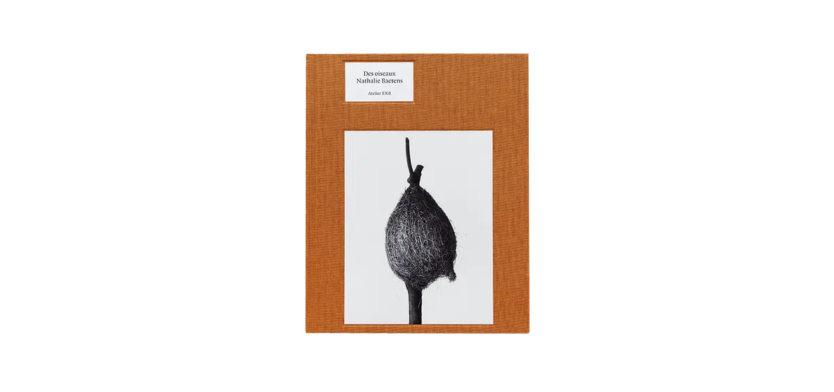 Des oiseaux - Nathalie Baetens