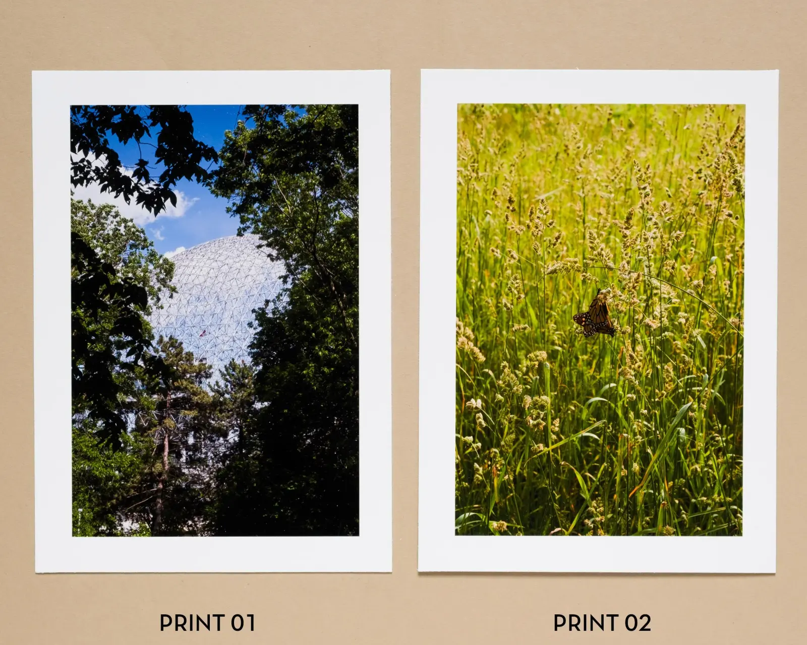 A Setting Sun Volume V image 2