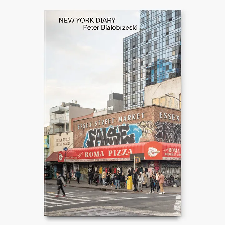 New York Diary image 1