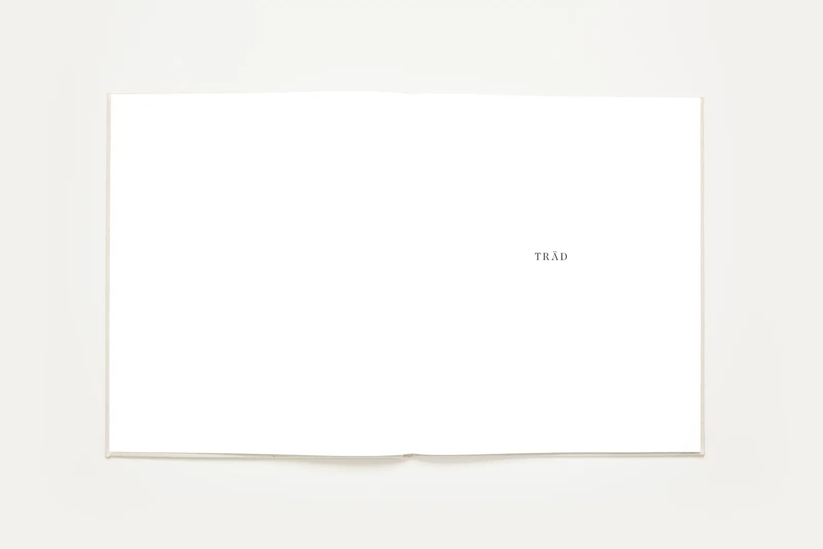 Träd image 4