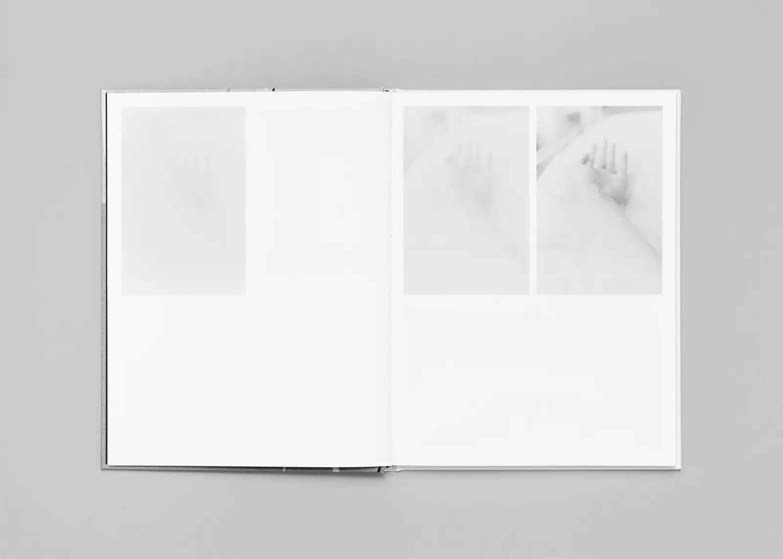 Anamnesis image 3