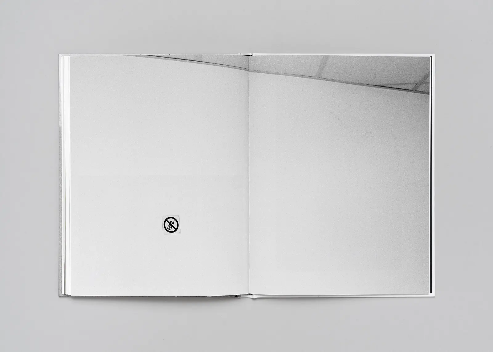 Anamnesis image 10