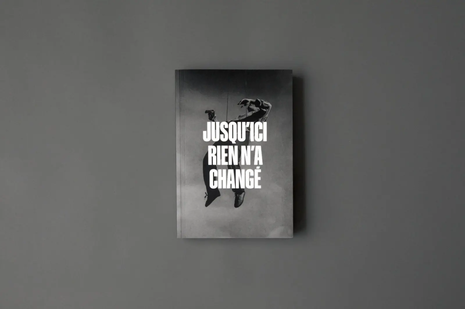 JUSQU'ICI RIEN N'A CHANGÉ image 2