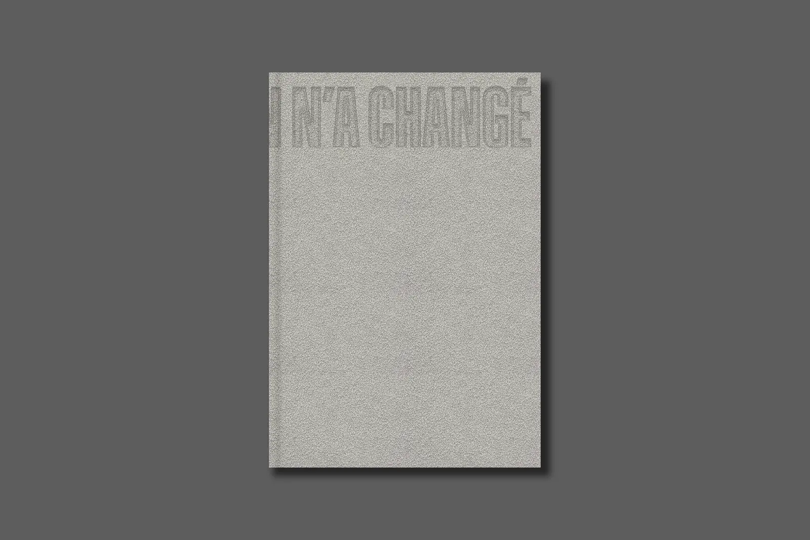 JUSQU'ICI RIEN N'A CHANGÉ image 10