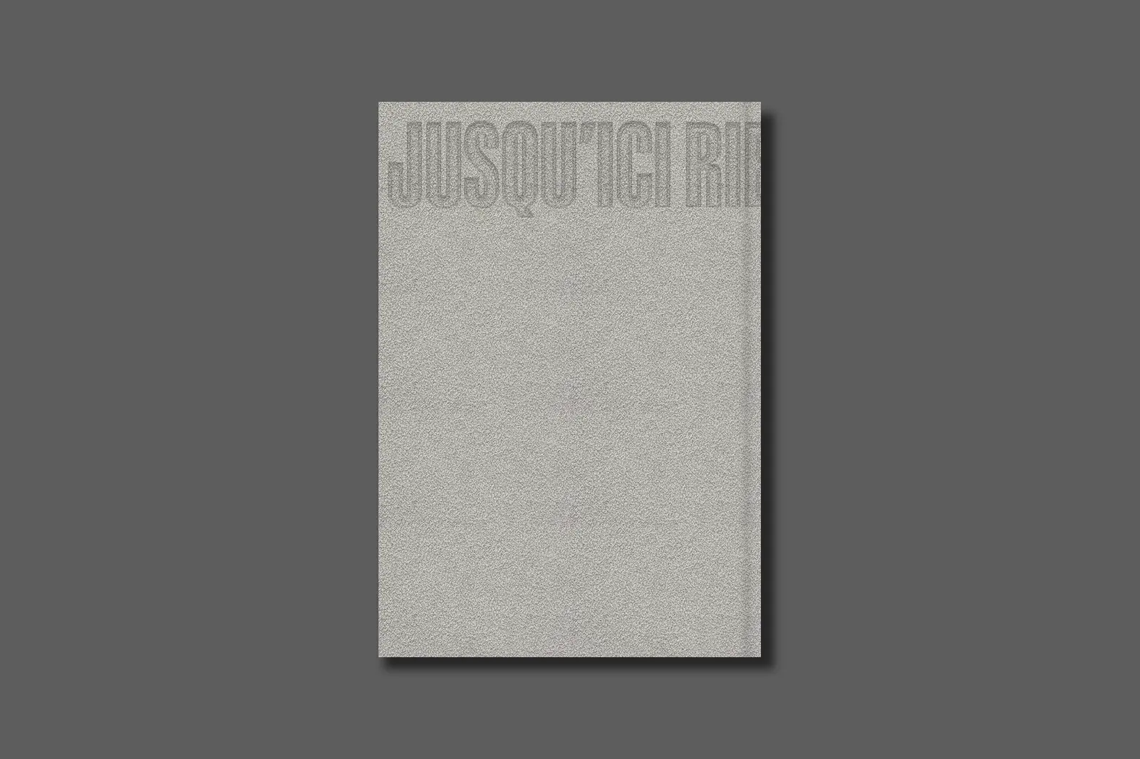 JUSQU'ICI RIEN N'A CHANGÉ image 11