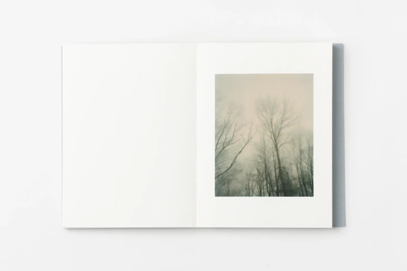 encounters image 5