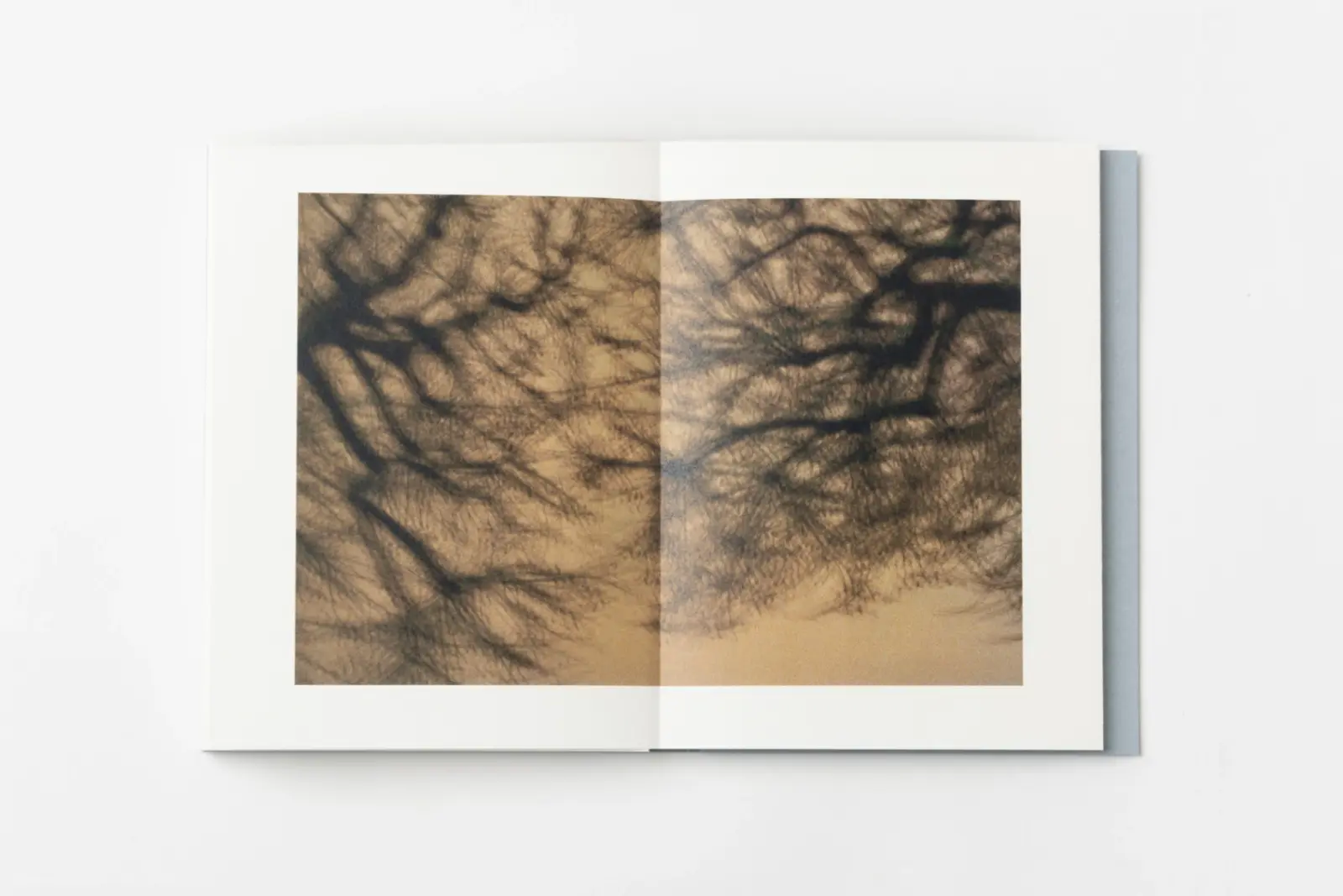 encounters image 6