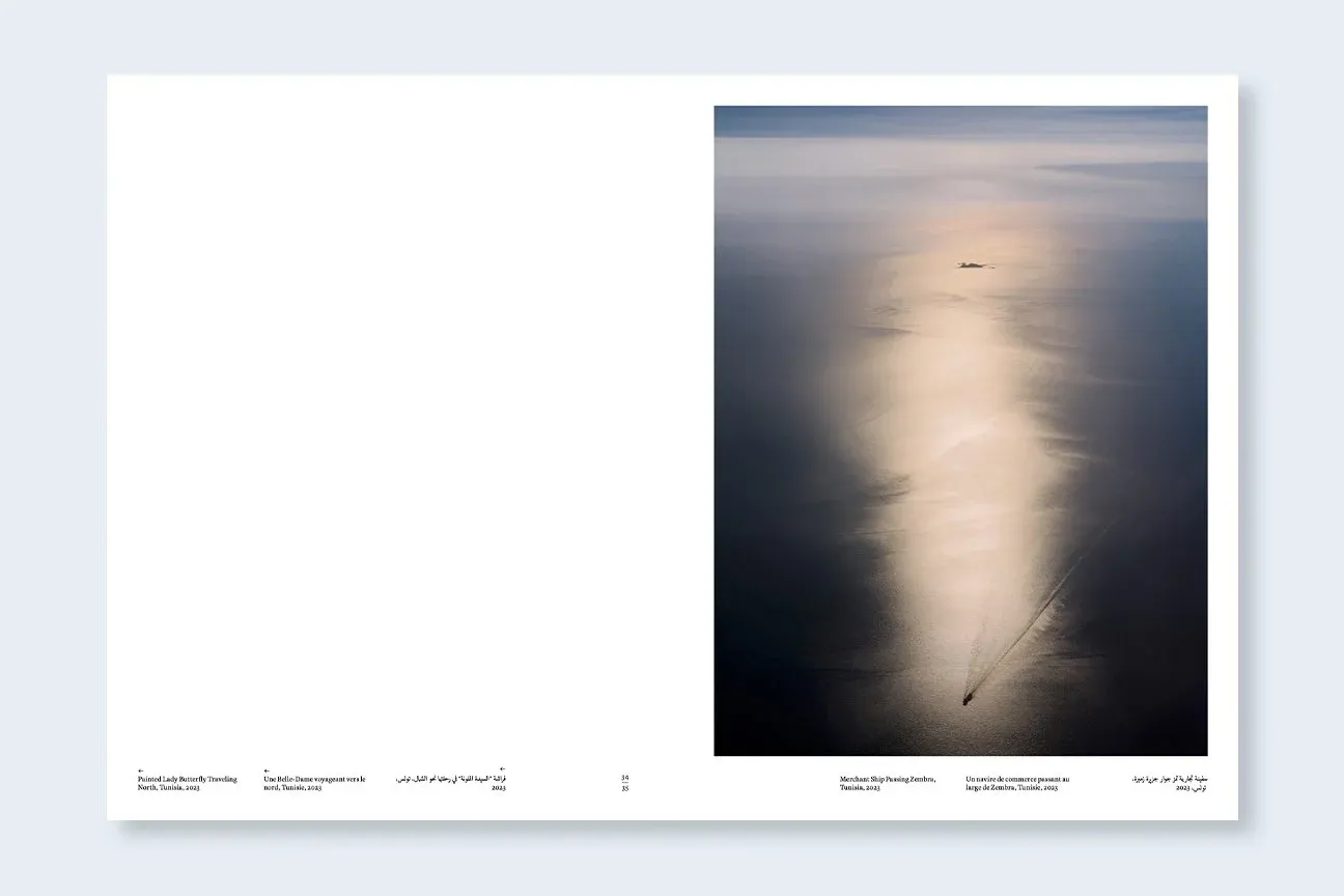 Constant Bloom image 7