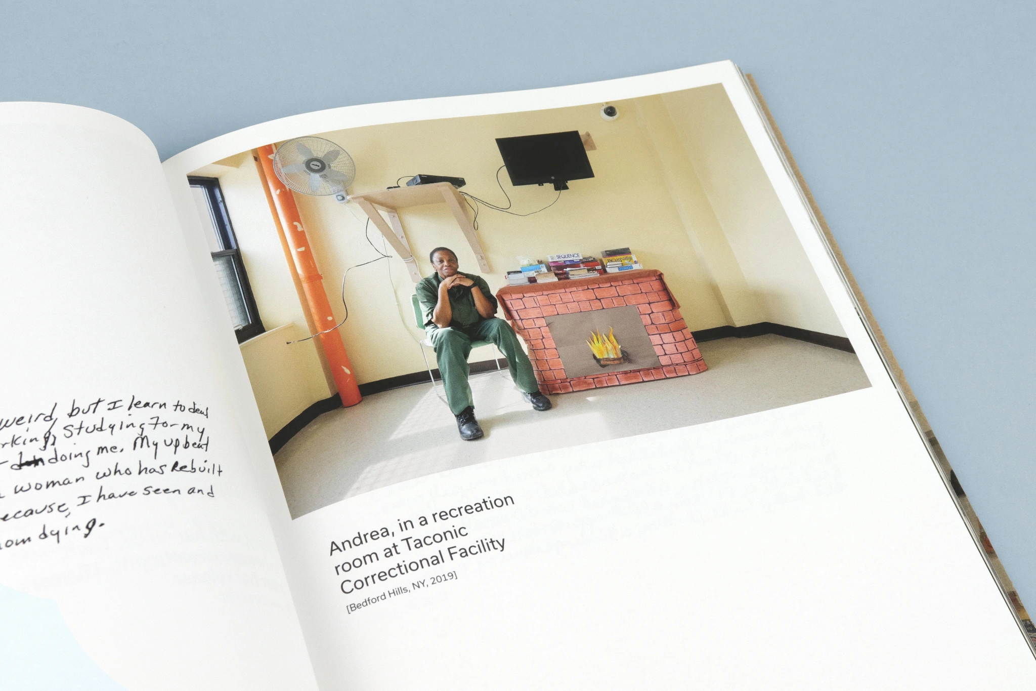 Looking Inside: Women with Life Sentences image 3