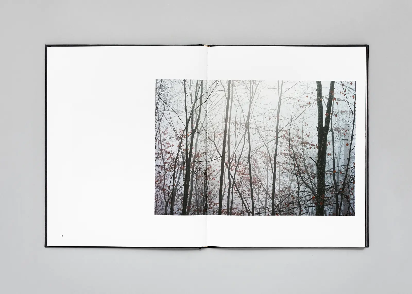 The Encounter image 10