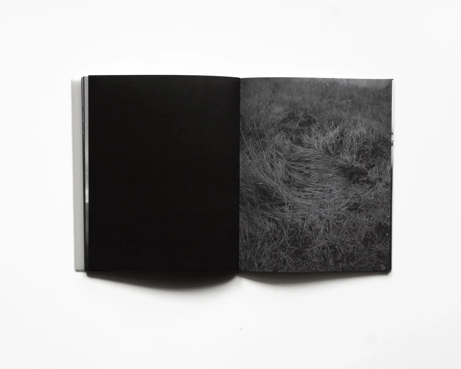 RAREFIED (SECOND EDITION) - LIMITED image 3
