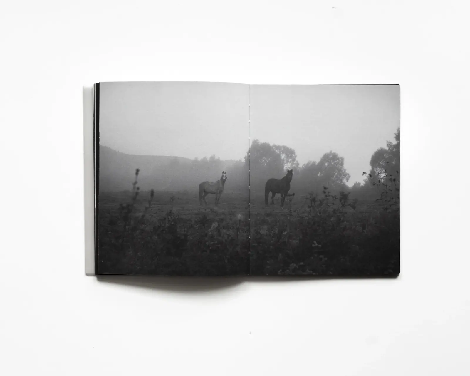 RAREFIED (SECOND EDITION) - LIMITED image 6