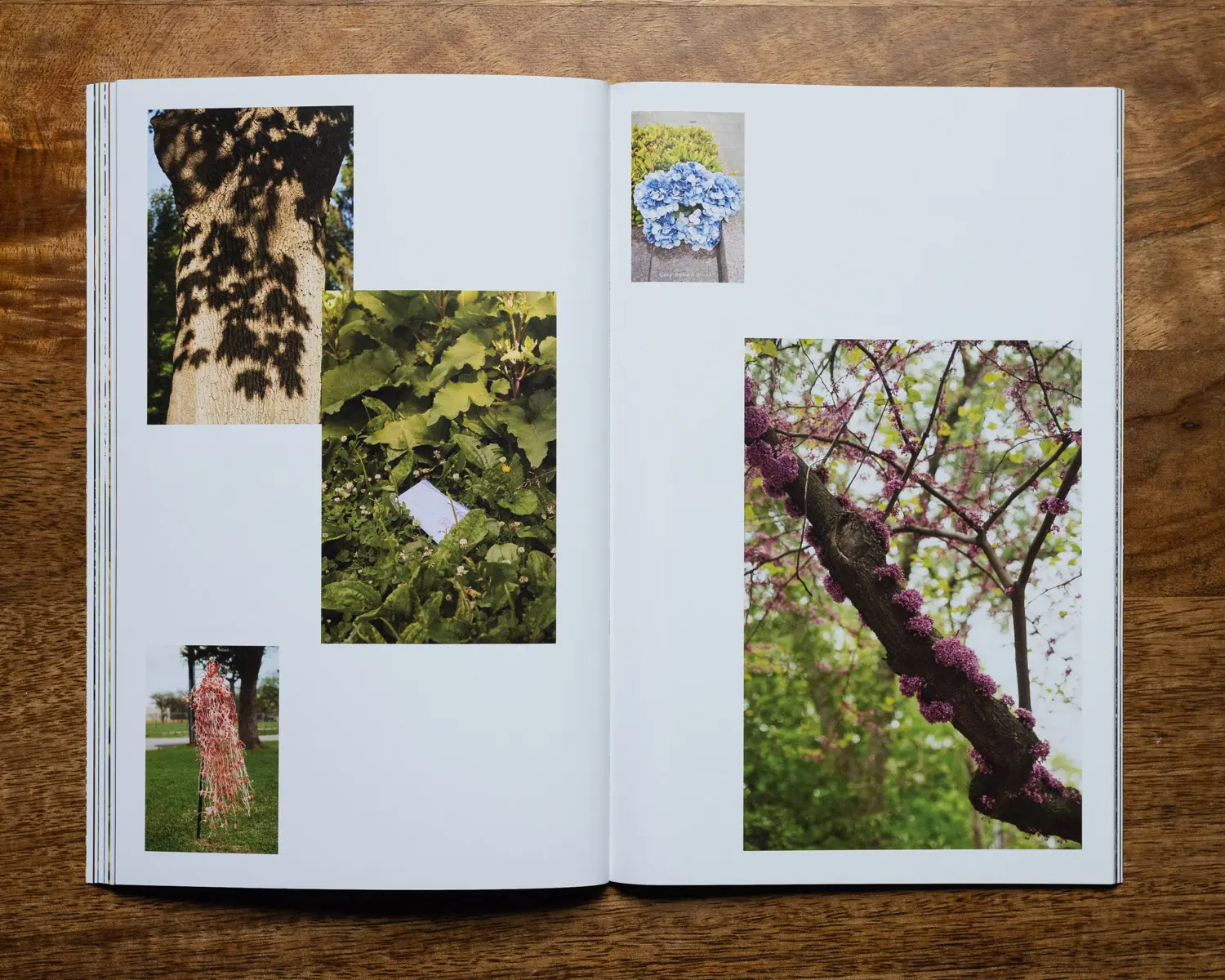 A Setting Sun Vol 04 image 2