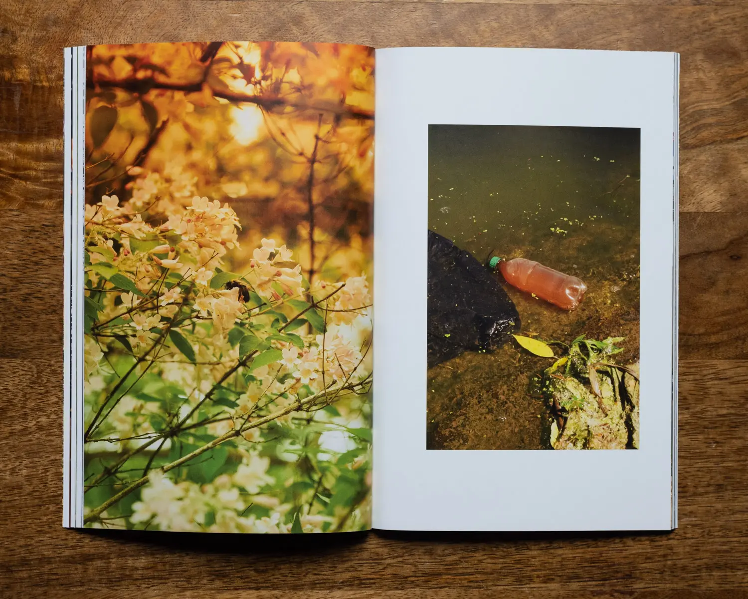 A Setting Sun Vol 04 image 10