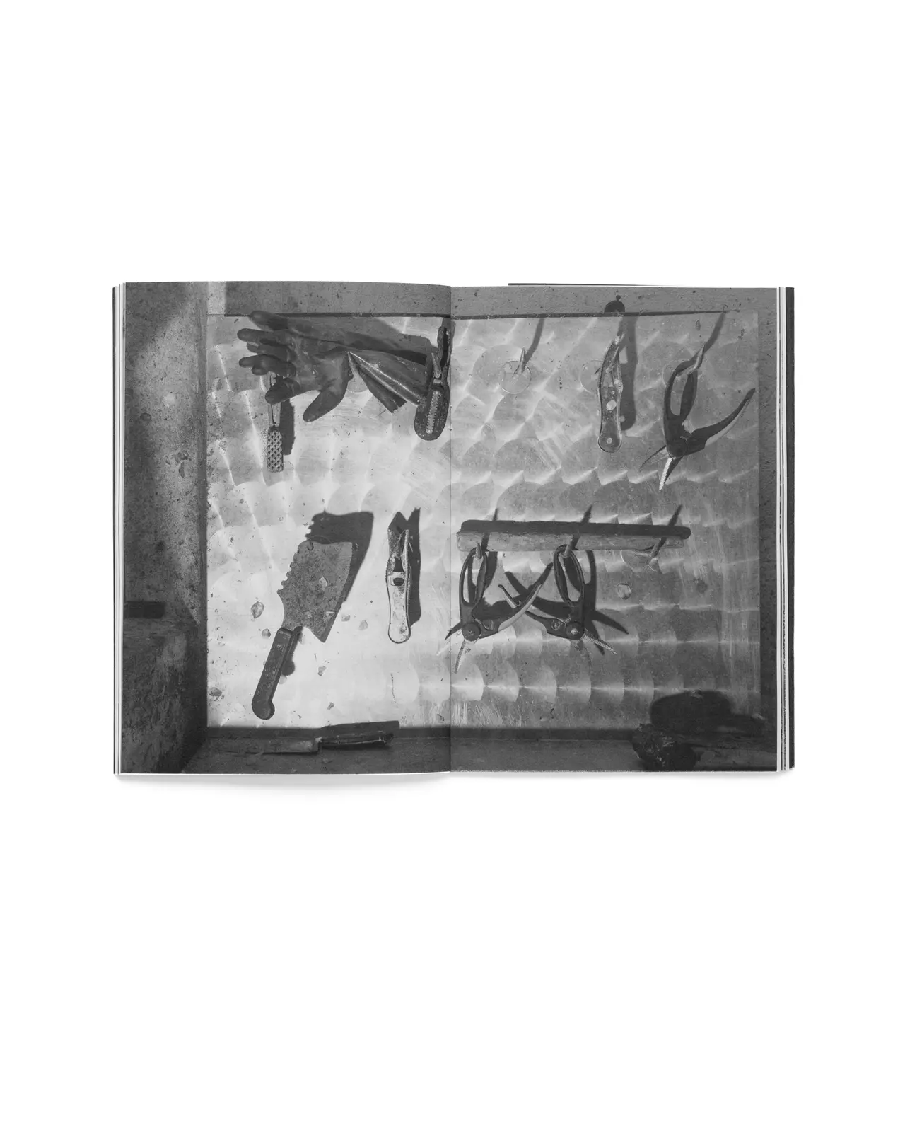 PIDŁO image 10