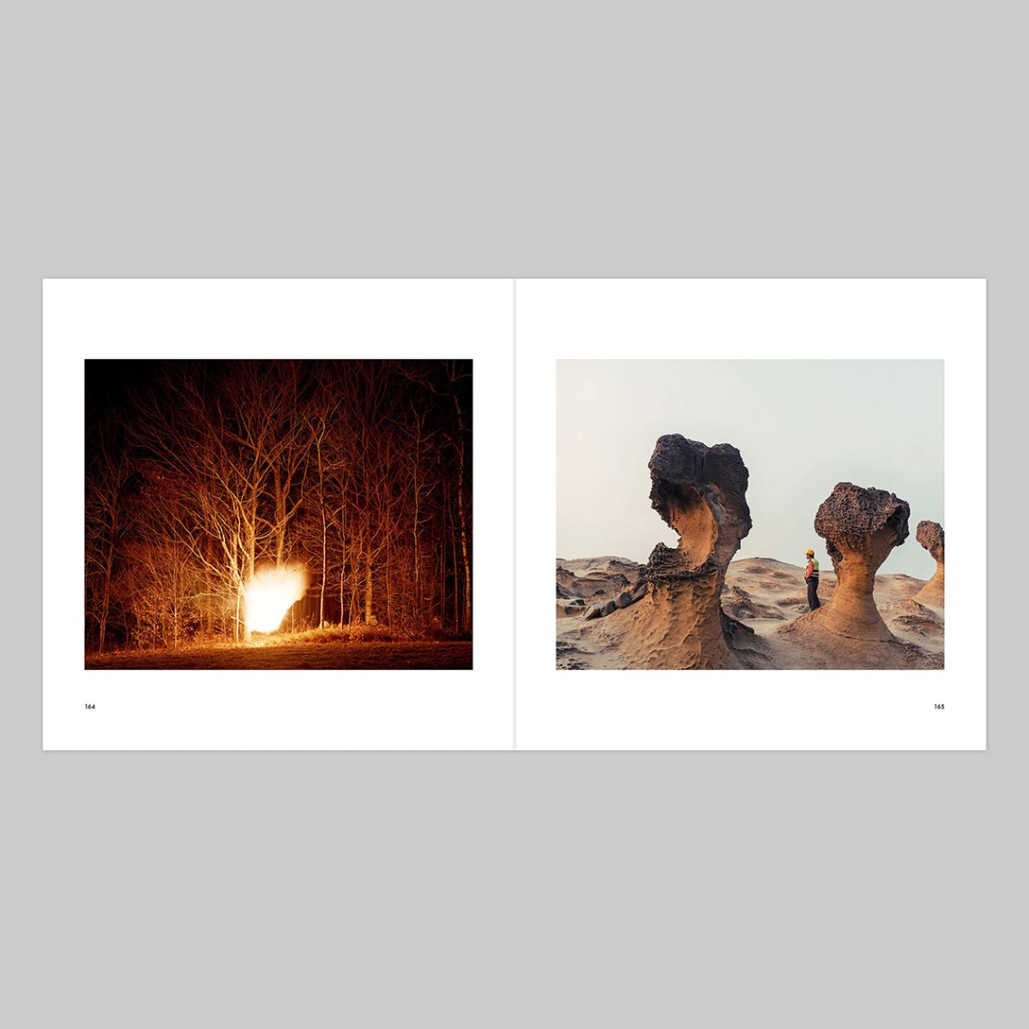 Everything Is Narrative image 11