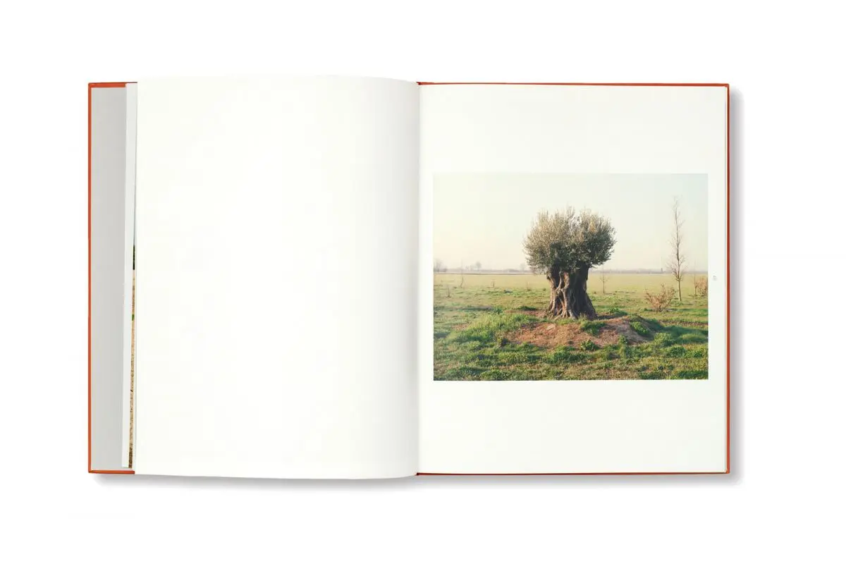 Inizio image 3