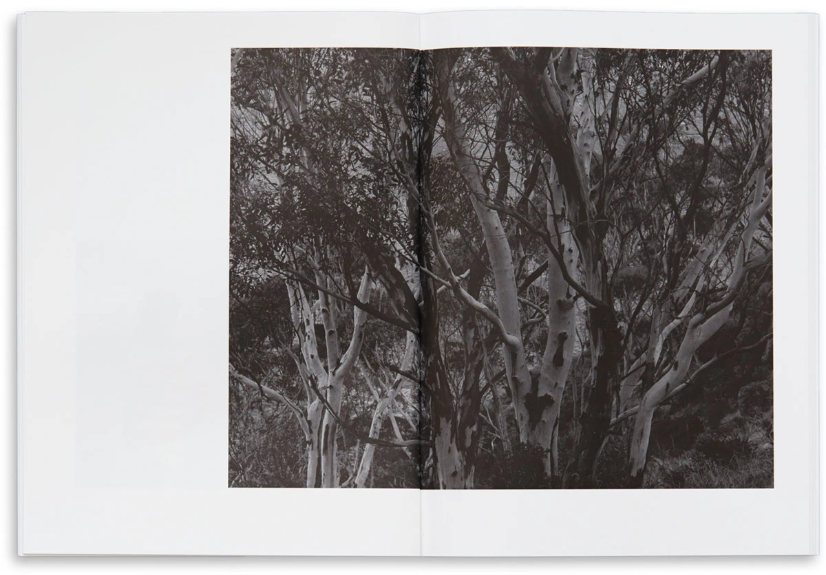 Catalogue image 6