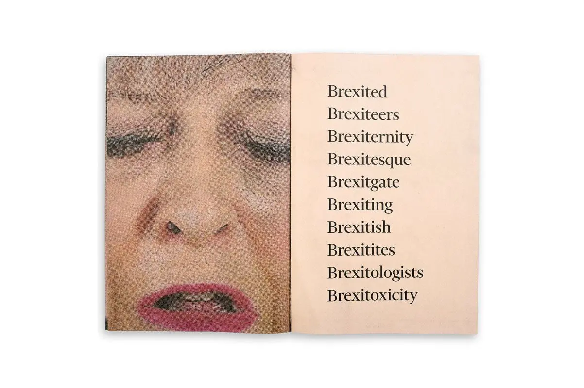 Brexshit Times image 2
