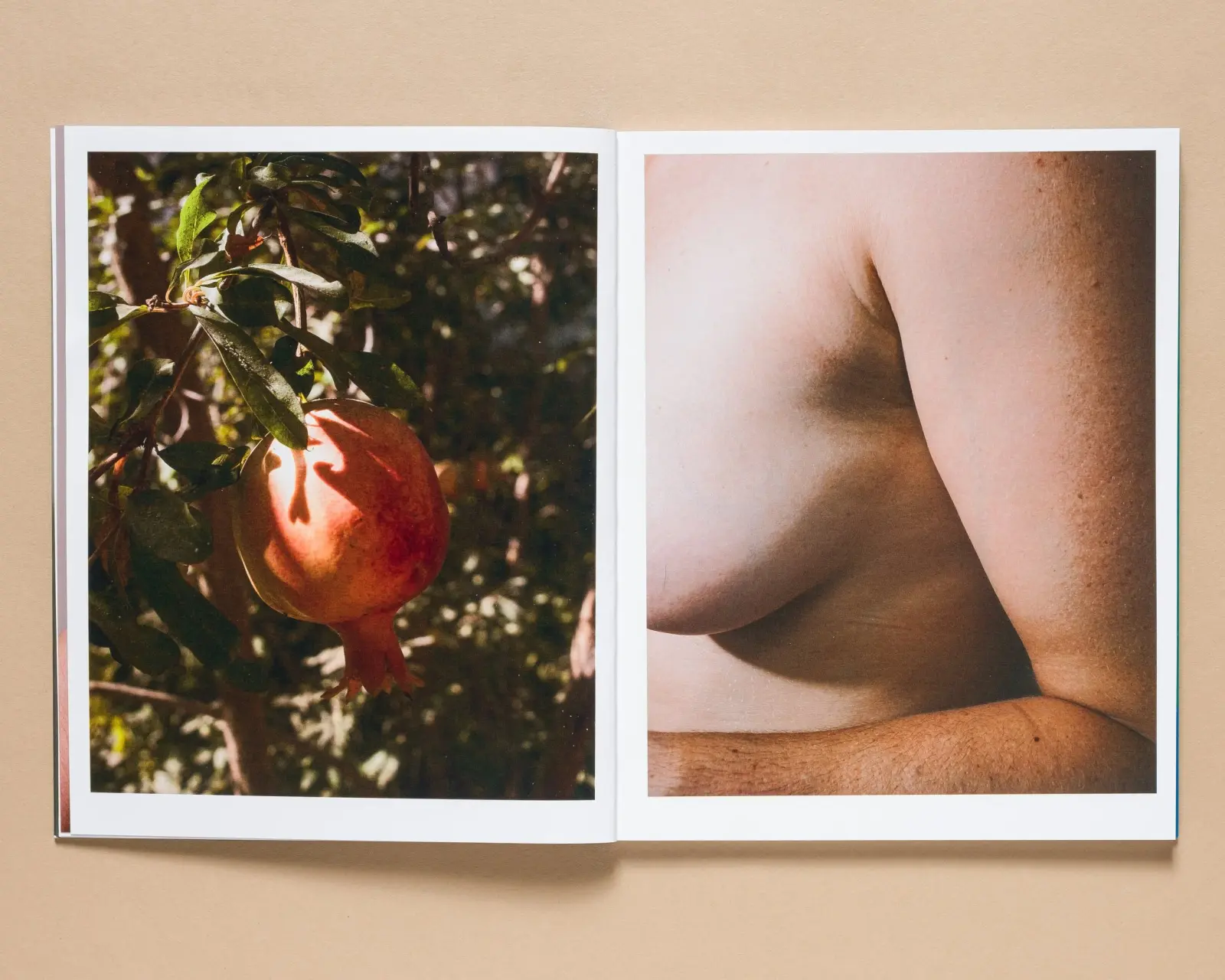 Shangri La: The Book of Skin image 3
