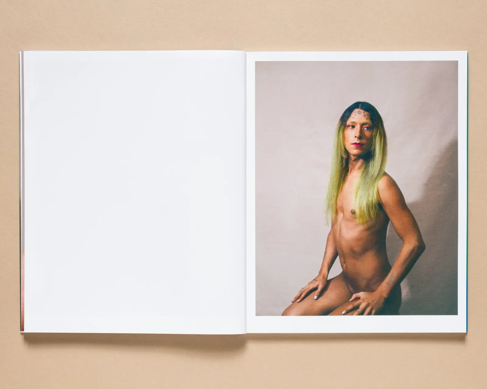 Shangri La: The Book of Skin image 4