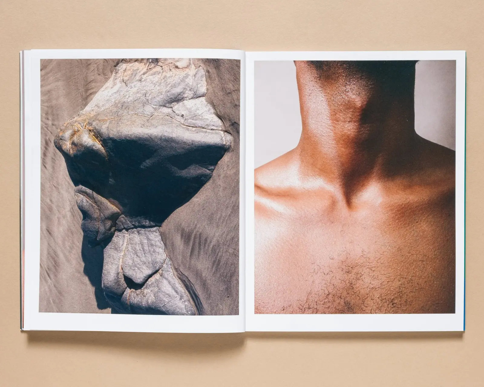 Shangri La: The Book of Skin image 5