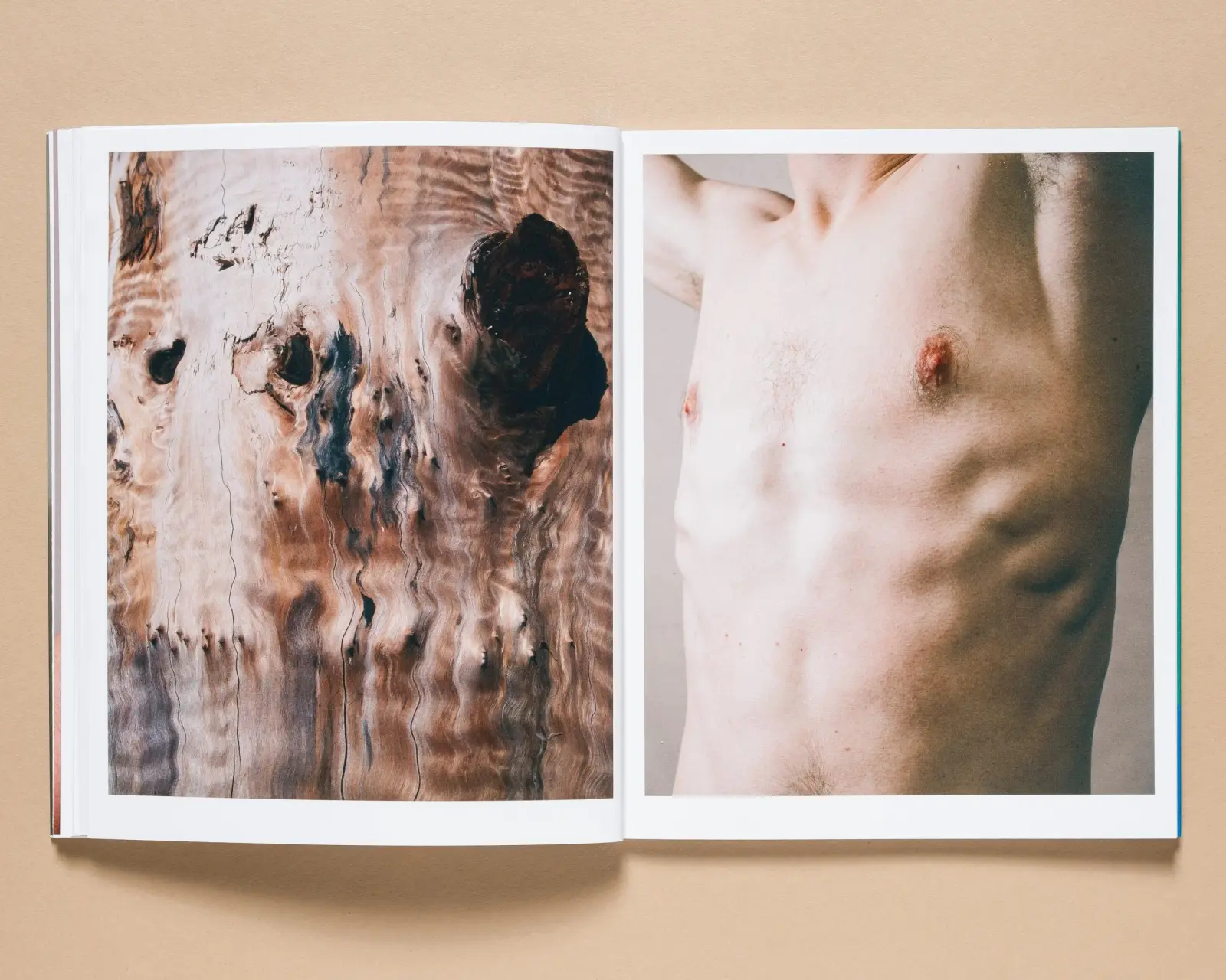 Shangri La: The Book of Skin image 7