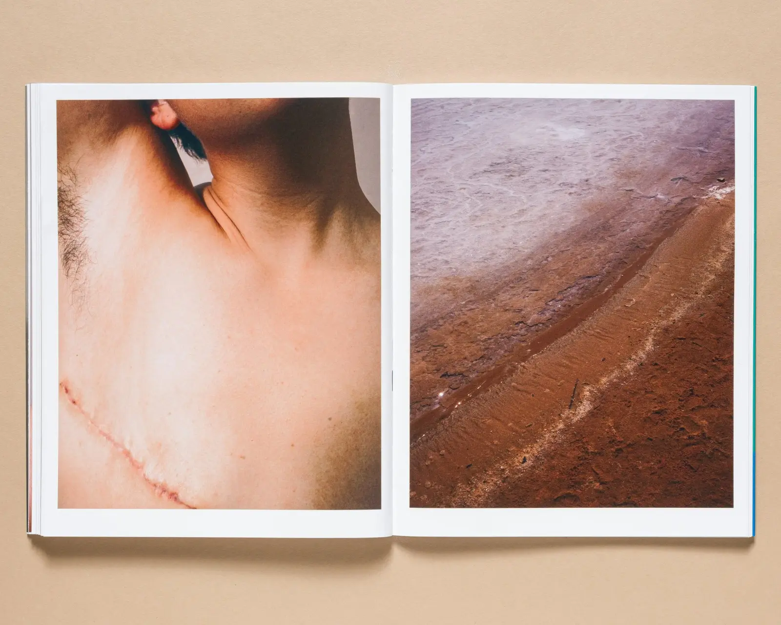Shangri La: The Book of Skin image 9