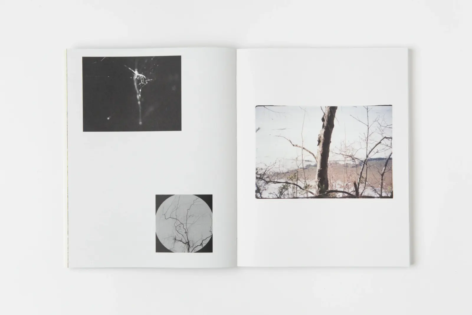 Other Ways of Being image 5