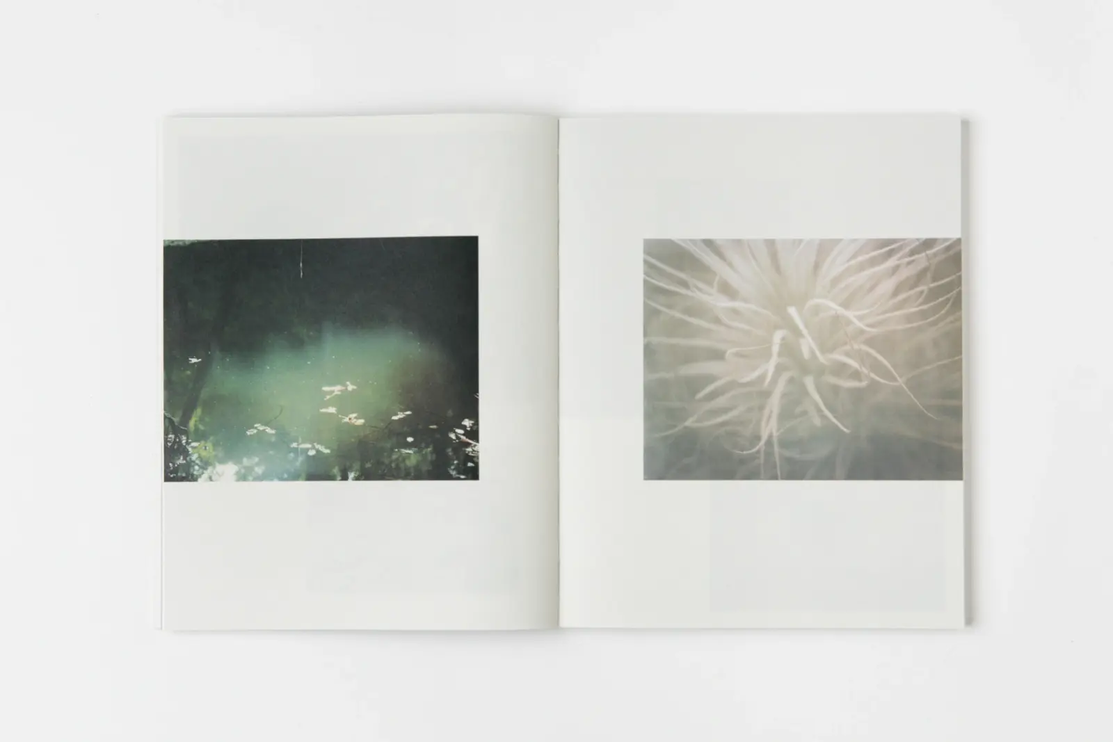 Other Ways of Being image 8