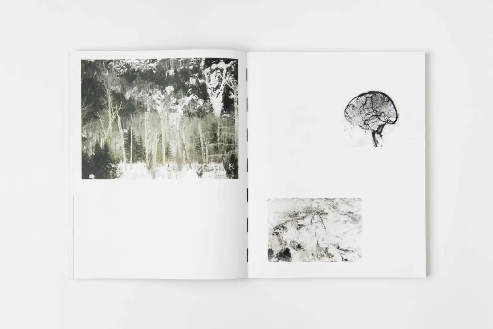 Other Ways of Being image 7