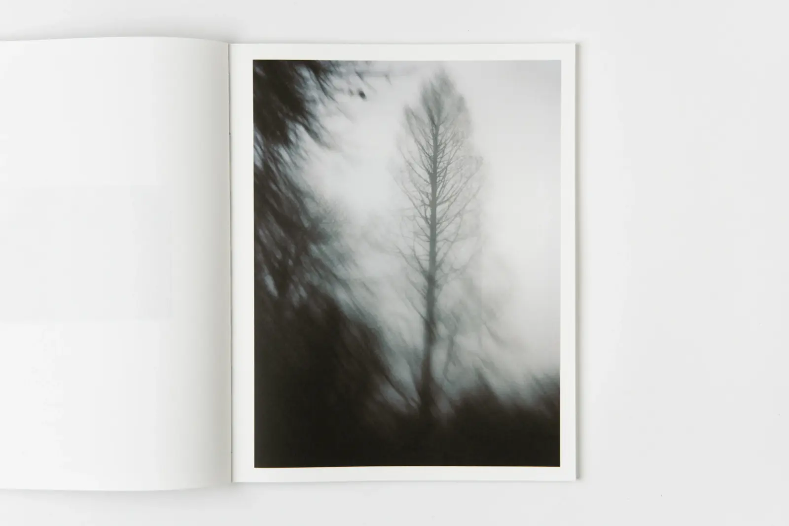 Other Ways of Being image 9