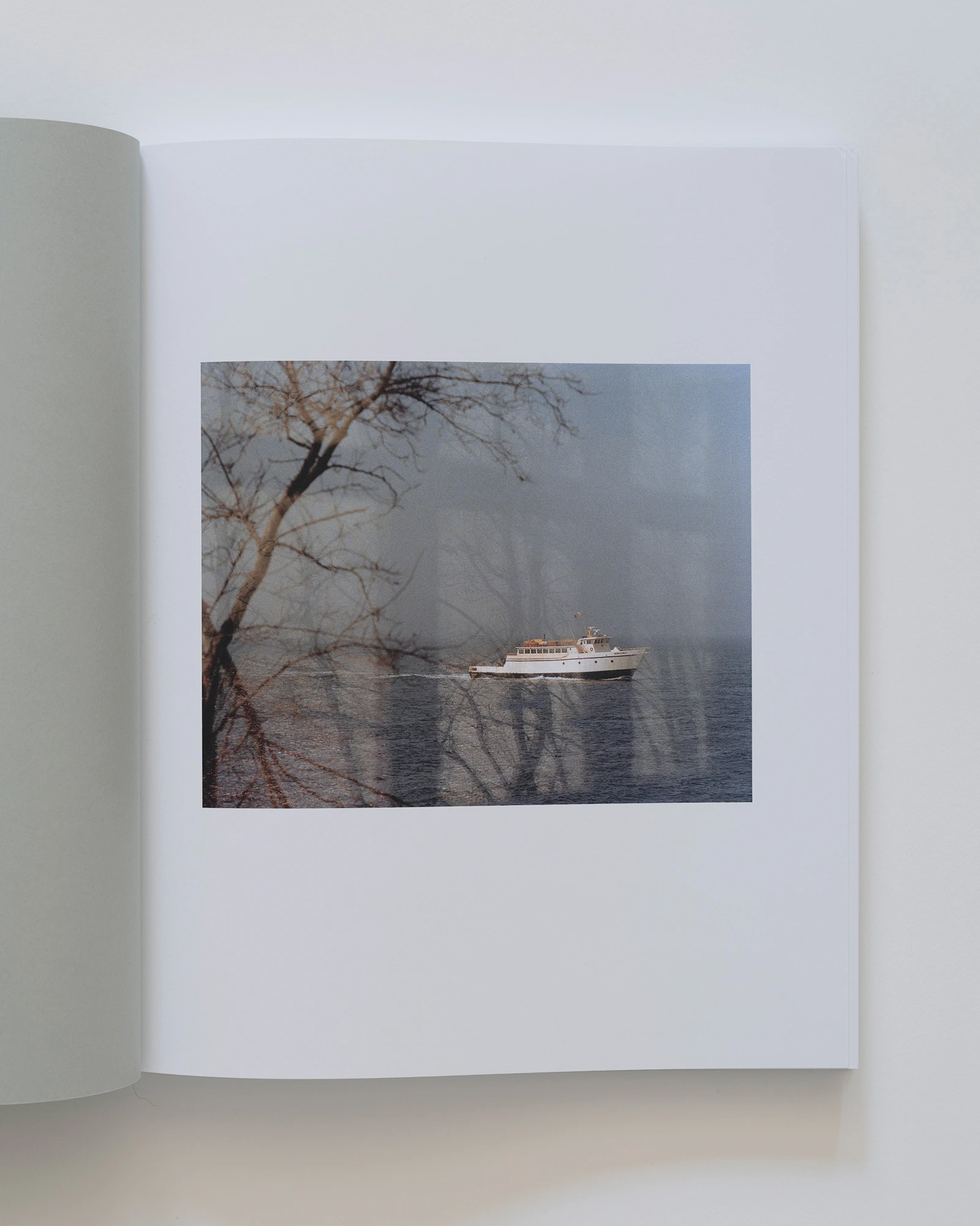 Inventory of the Impermanent image 2