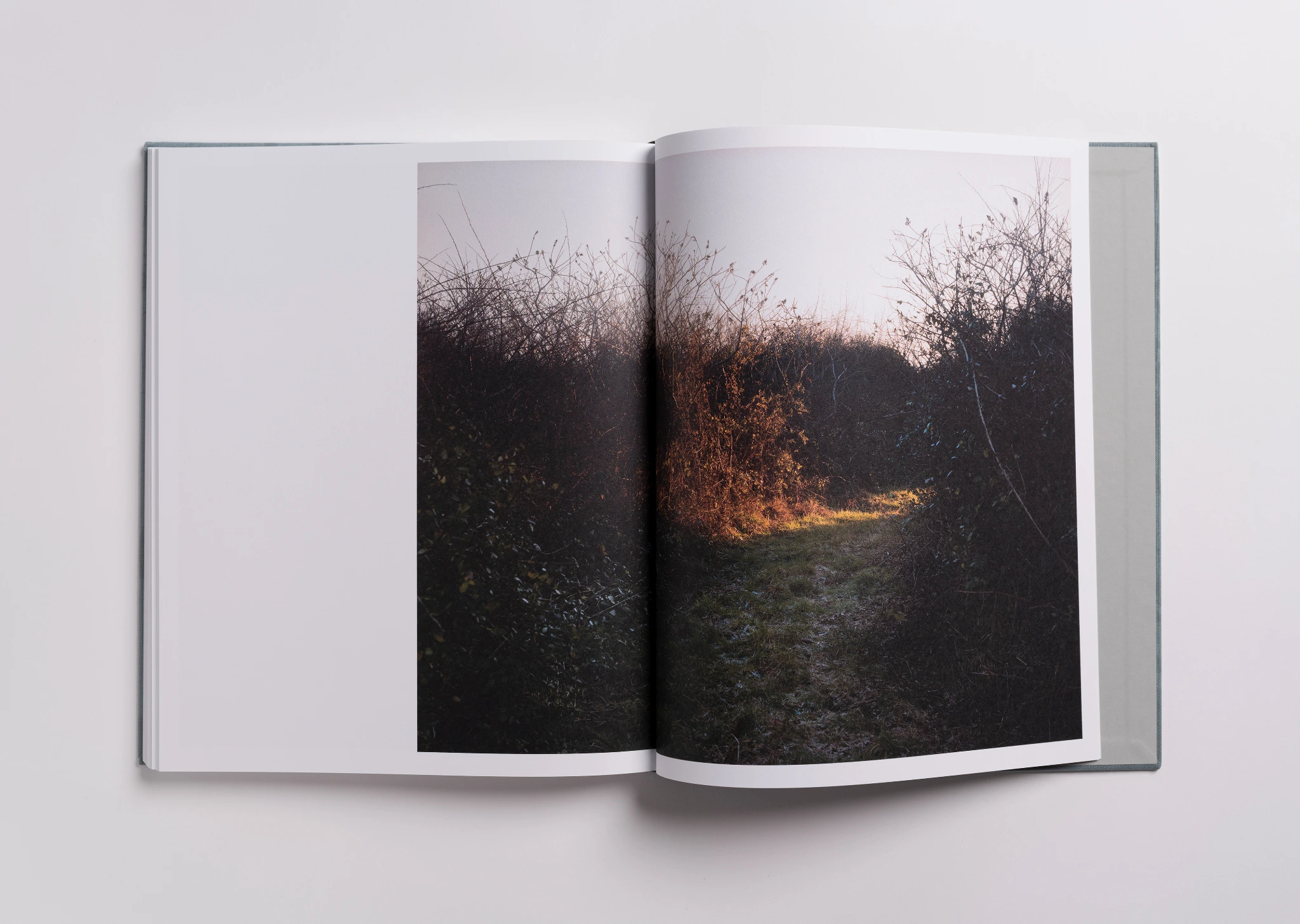 Inventory of the Impermanent image 7