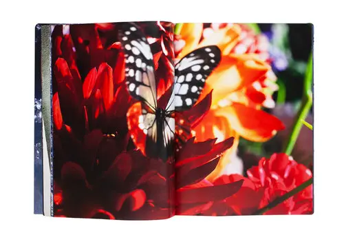 Eternity in a Moment Vol. 3 image 4