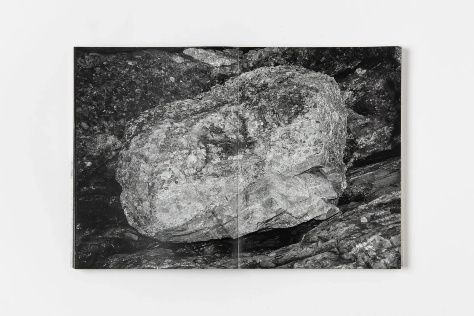 DARK LIGHT image 5