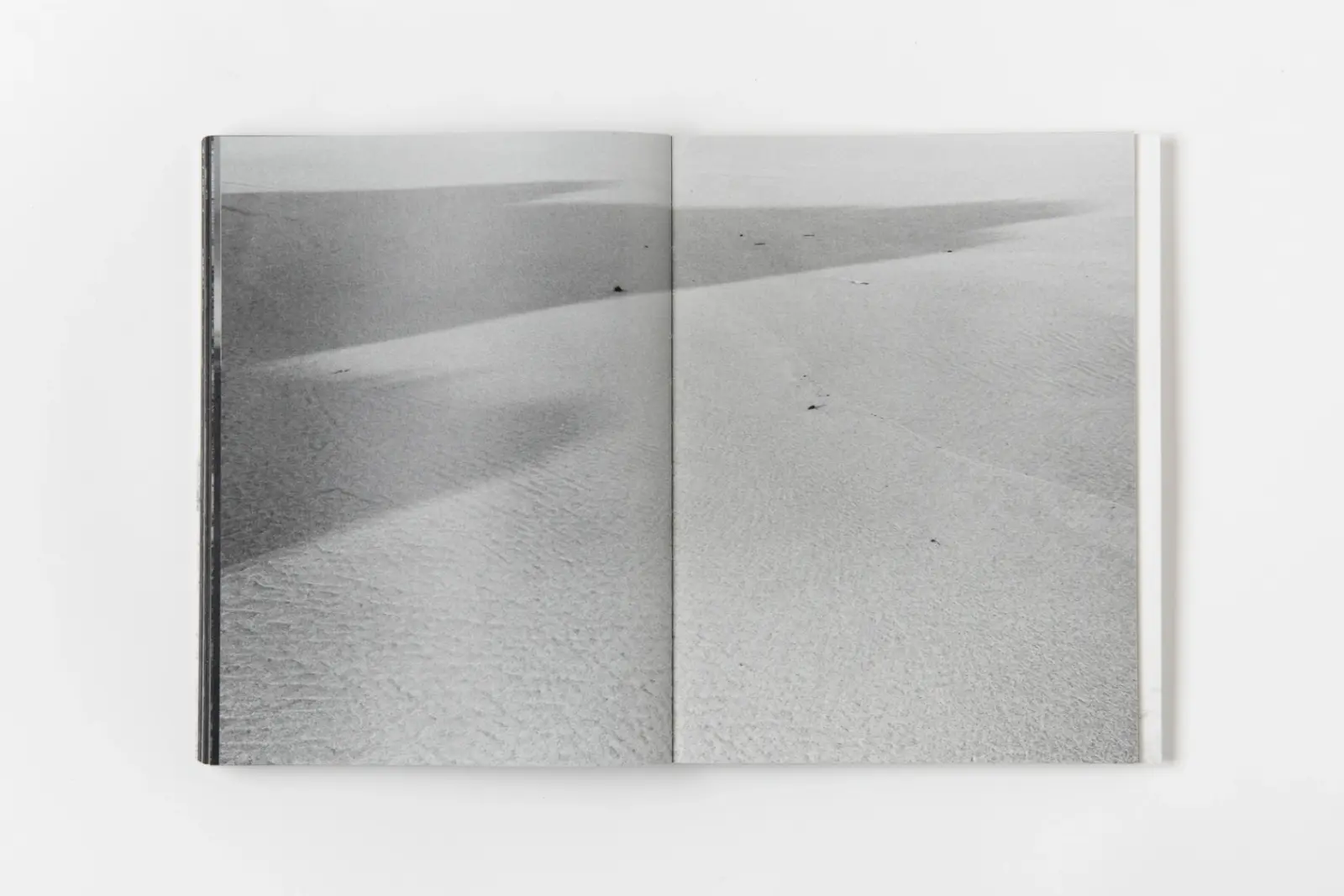 DARK LIGHT image 10