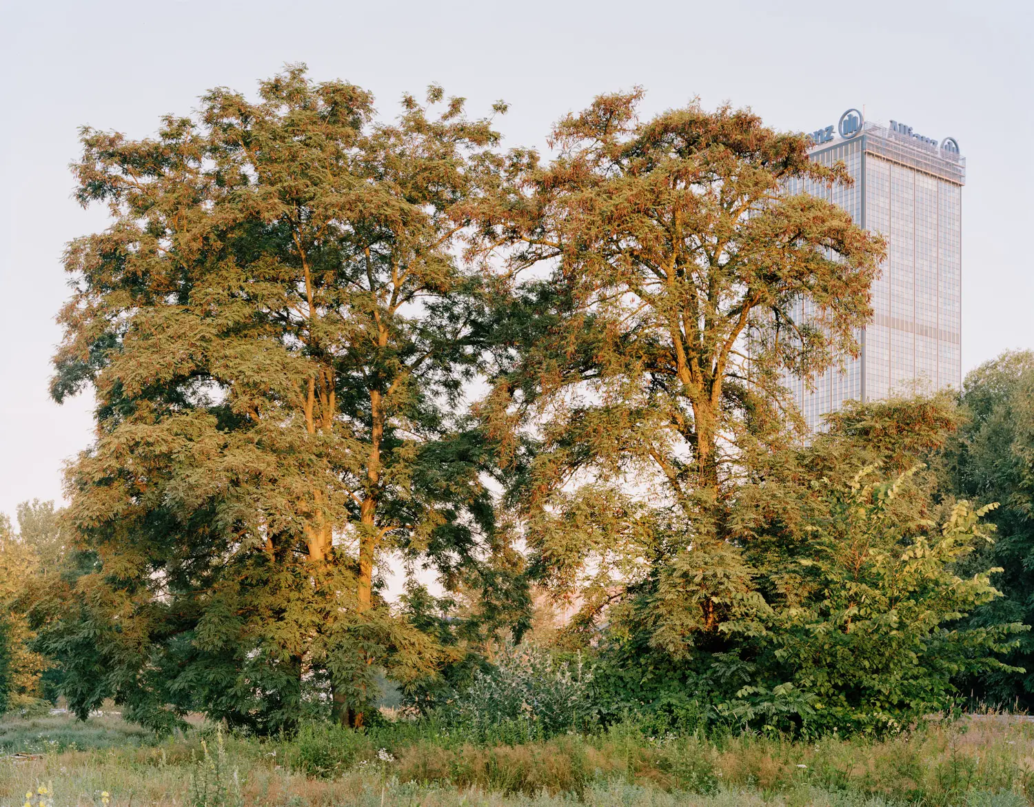 Berlin image 7