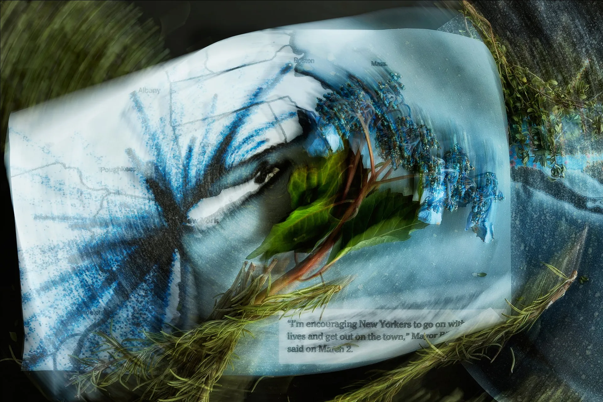 Covid Diary image 3