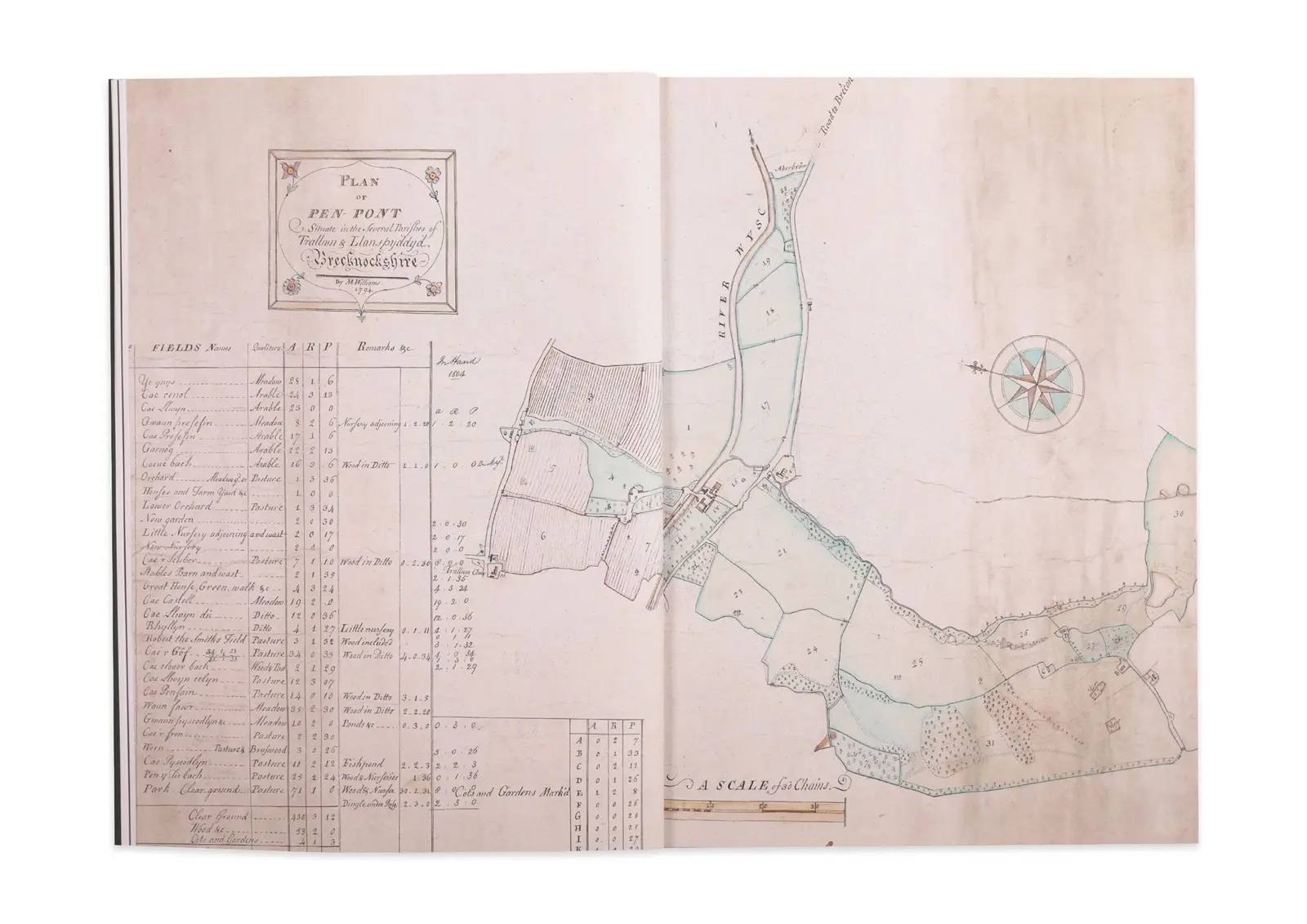 Aelwyd image 7