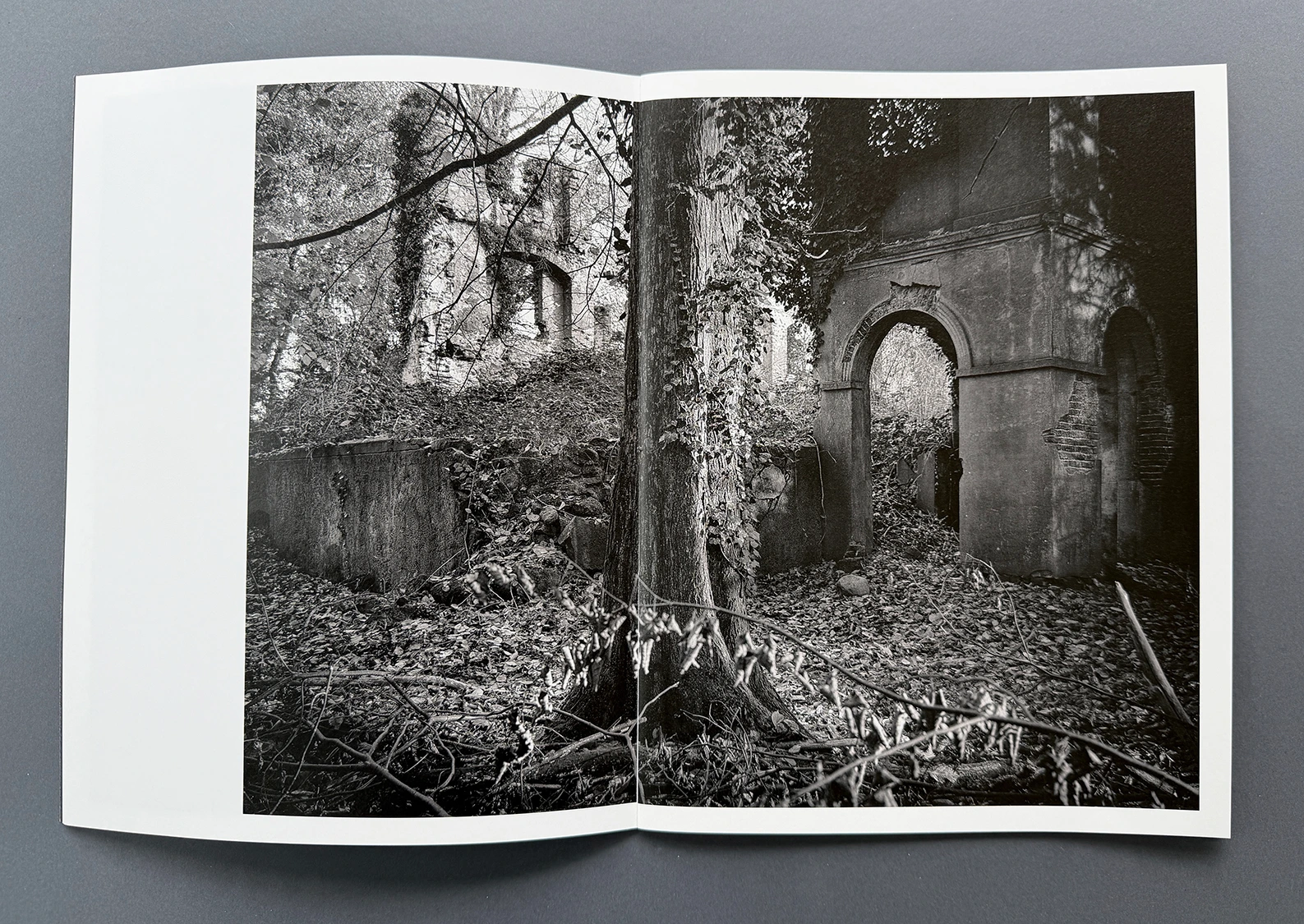 status_01 schloss tylsen image 4