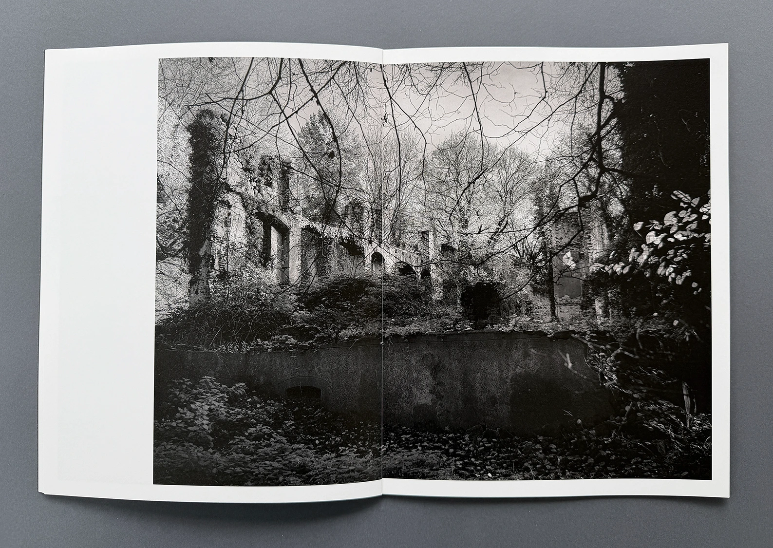 status_01 schloss tylsen image 6