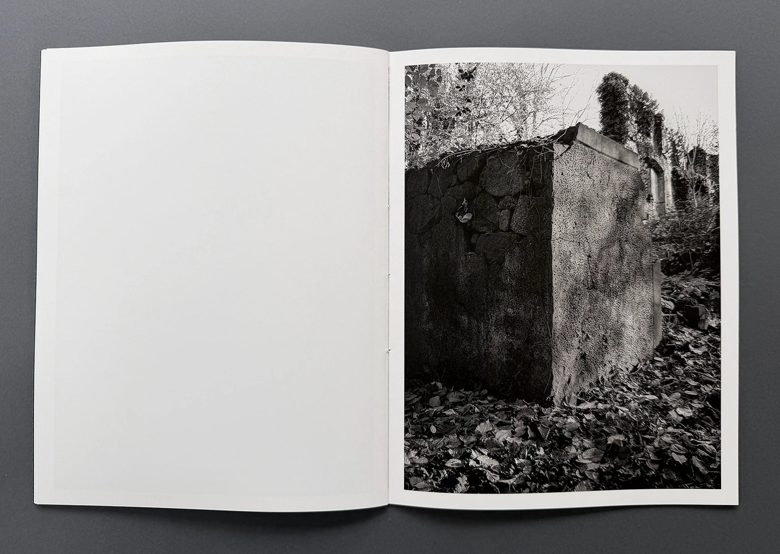 status_01 schloss tylsen image 7