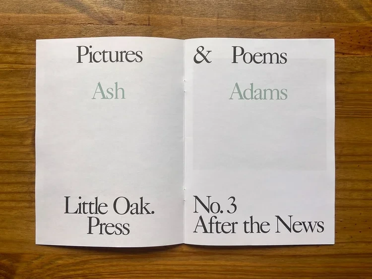 Pictures and Poems No. 03: After the News (Ash Adams) image 2