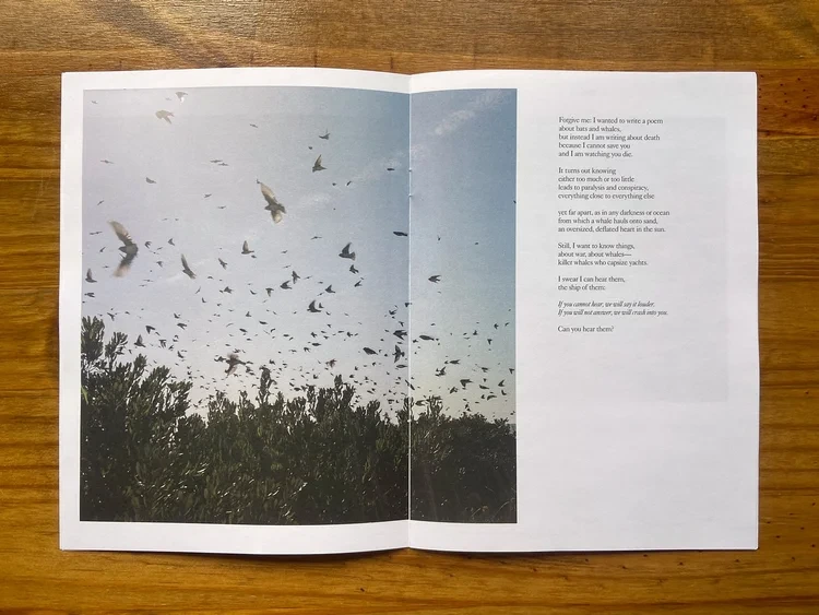 Pictures and Poems No. 03: After the News (Ash Adams) image 3